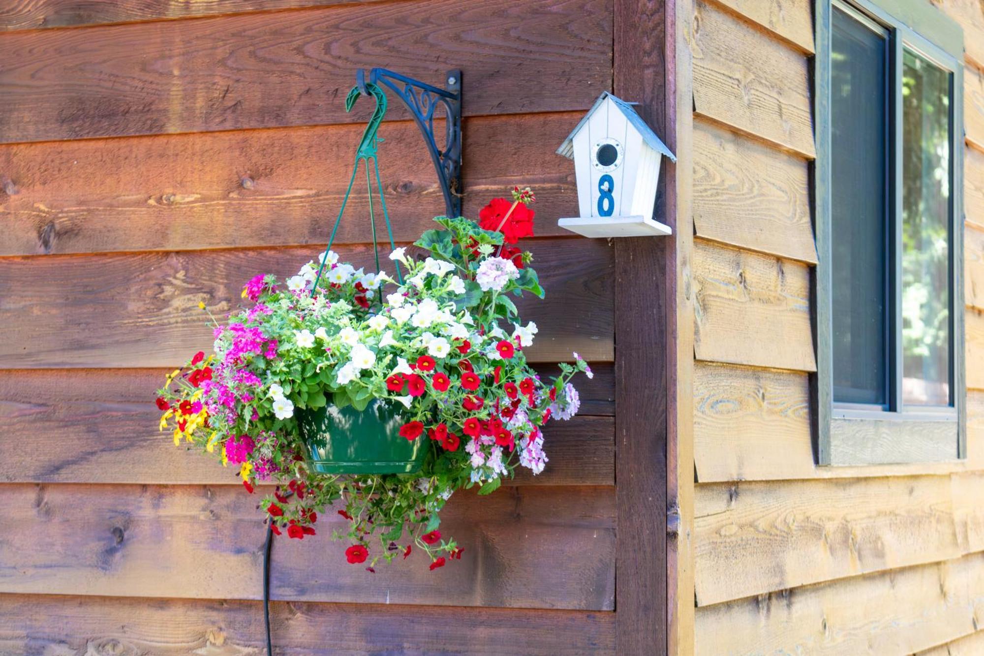 Riverbend Cottage & Rv Resort 팍스빌 외부 사진