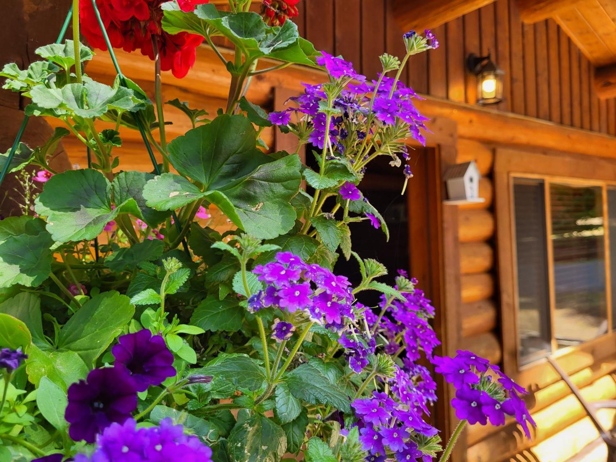 Riverbend Cottage & Rv Resort 팍스빌 외부 사진